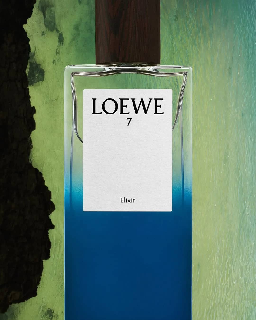 Loewe Frames LOEWE 7 Through Specialized Botanical and Digital Artistry - Image 3